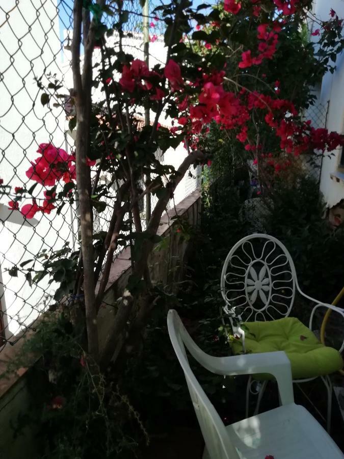 Can Pau Guesthouse リャンサ エクステリア 写真